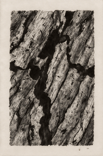 CHAPTER IV — THE GHAF TREE